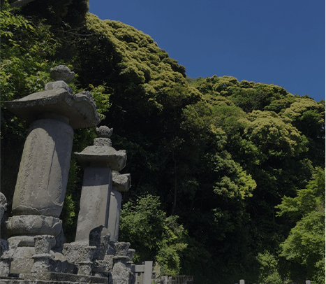 永代供養「合祀」墓